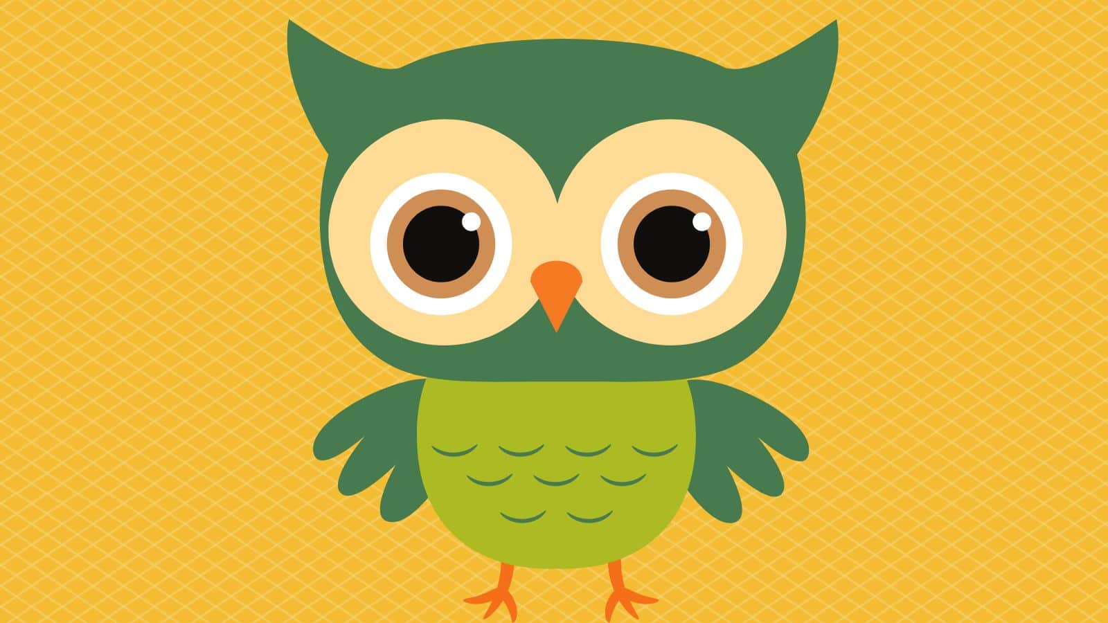 Find Your Little Green Owl: Focus vs. Productivity